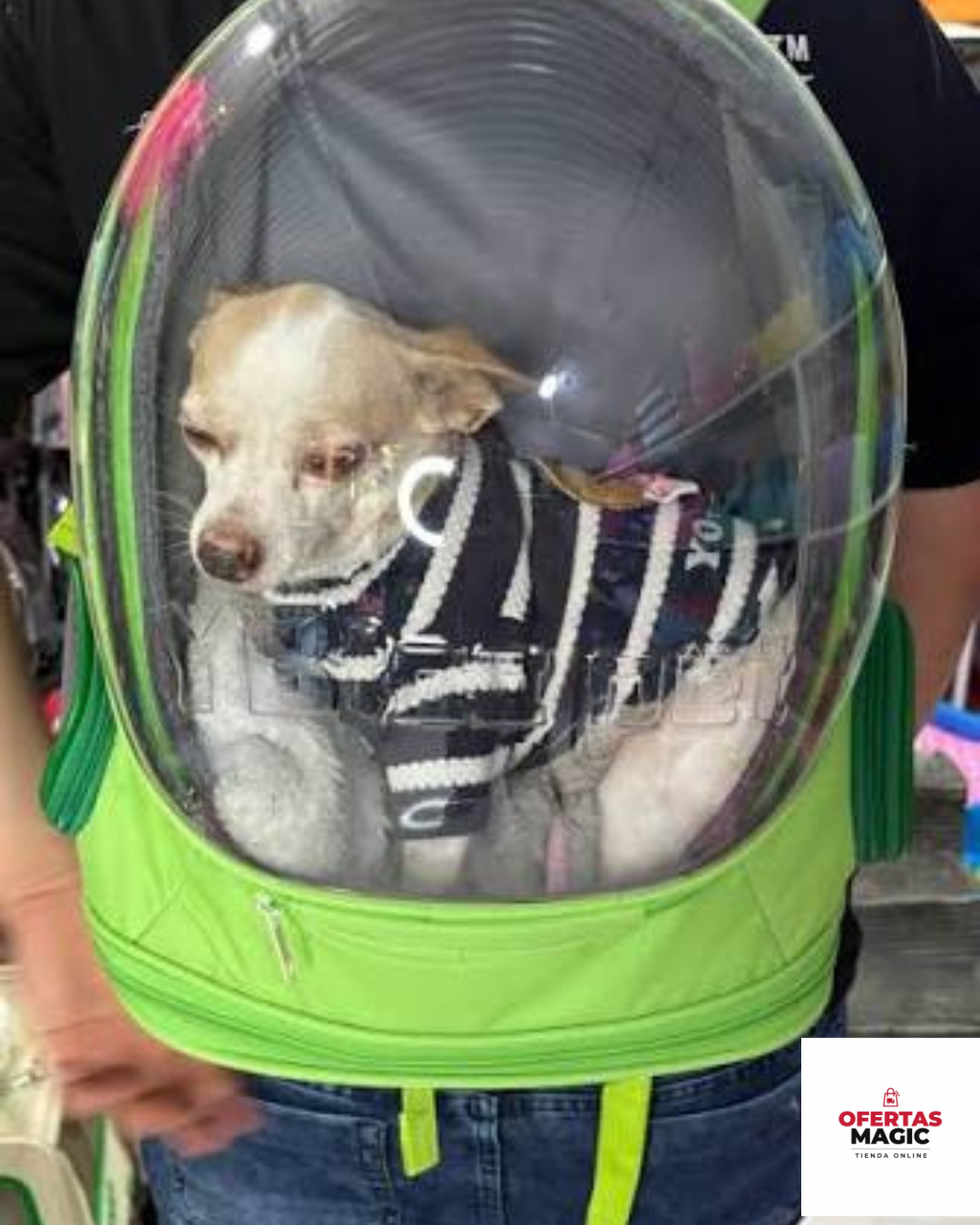 Mochila transportadora de mascota